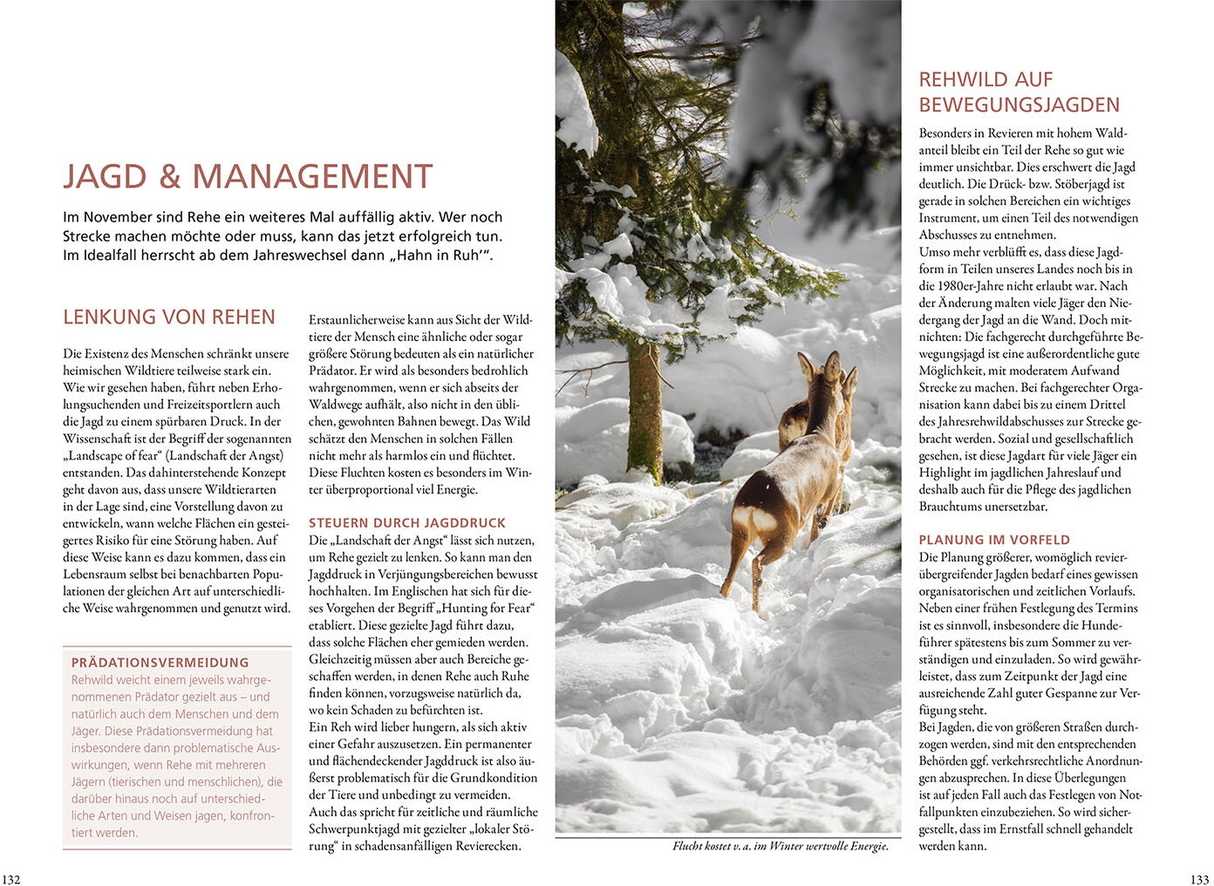 Auf Rehe jagen: Mit Herz und Verstand