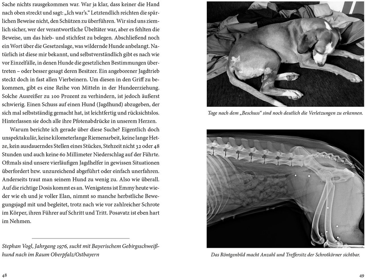 Auf der Nachsuche - Leseprobe