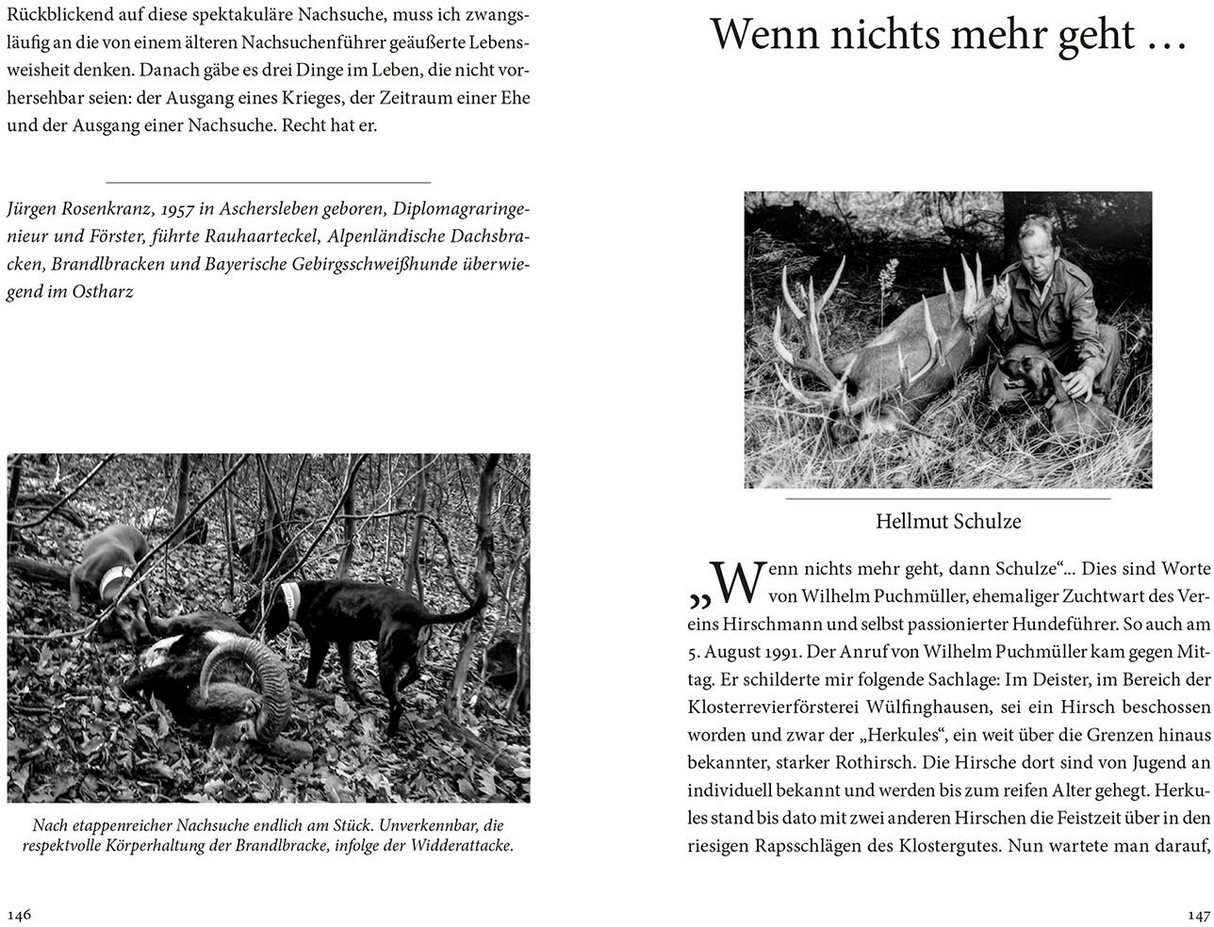 Auf der Nachsuche - Hellmut Schulze