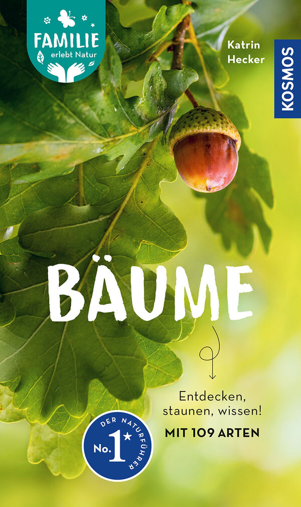 Baeume - Entdecken, staunen, wissen