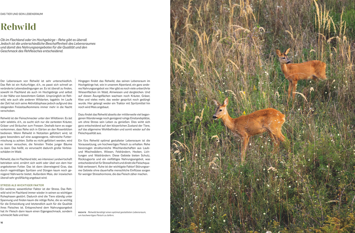 Das Geheimnis des Schweizer Schnitts - Rehwild