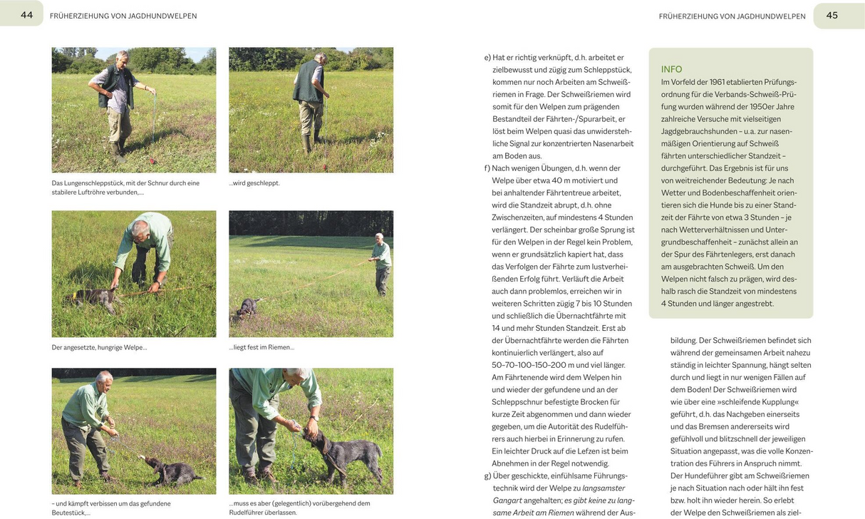 Der Jagdgebrauchshund, Tabel - Leseprobe 3