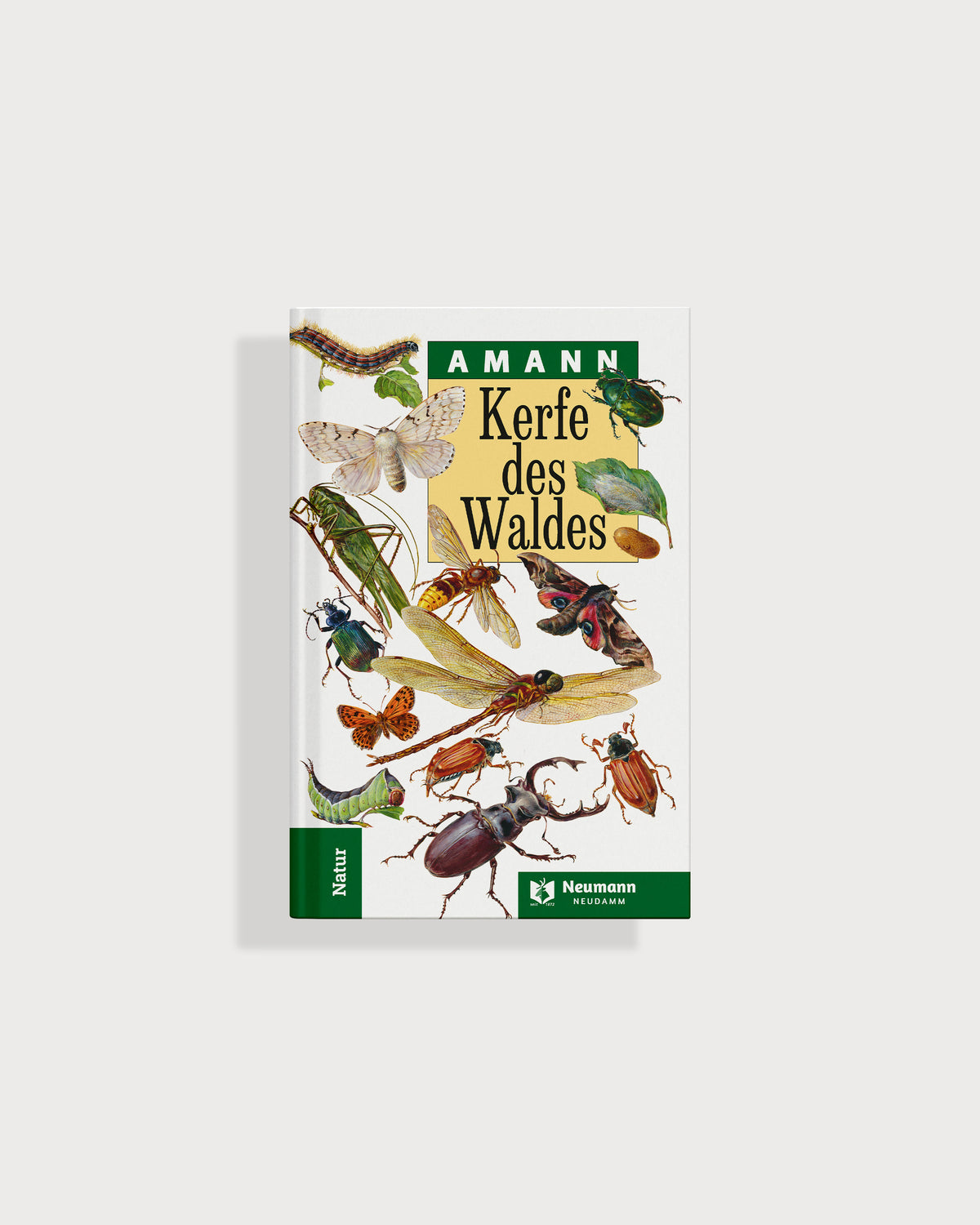 Kerfe des Waldes (Test)