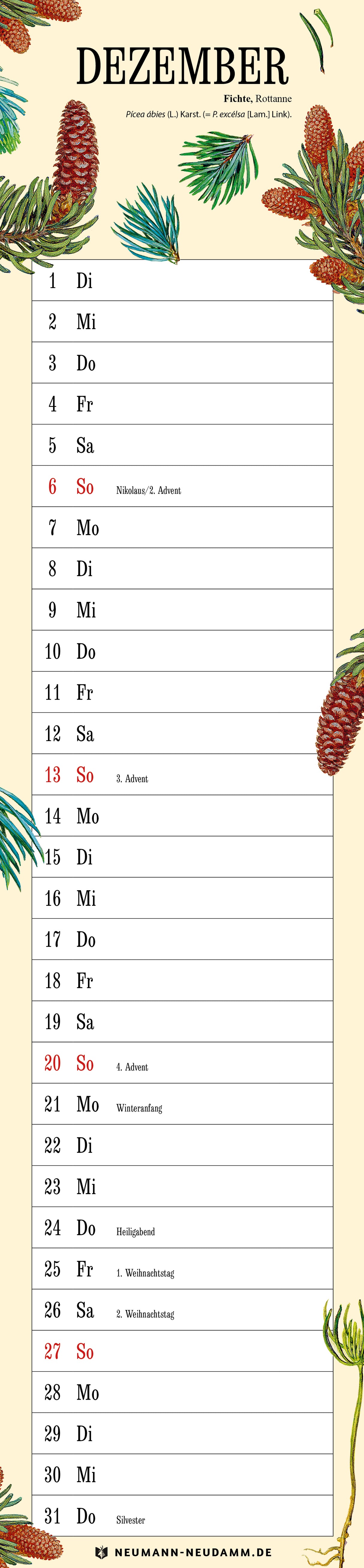 Amann Naturkalender 2026