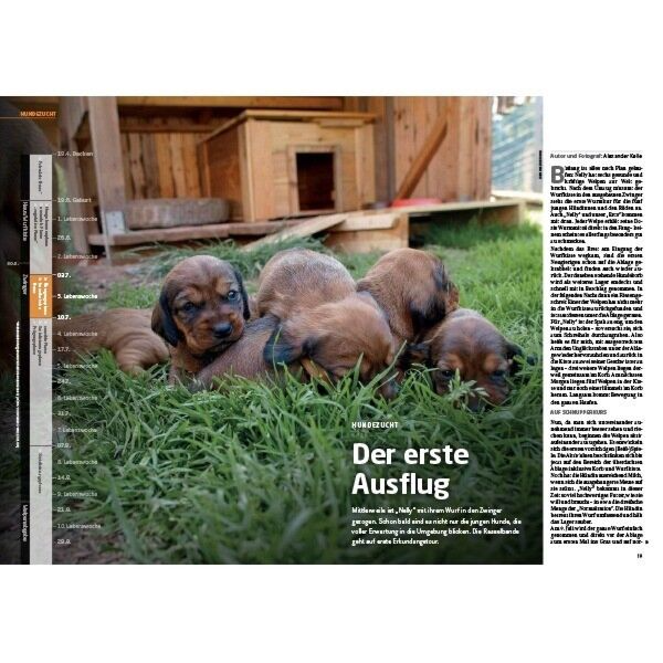 Sonderheft Jagdhunde Inhalt