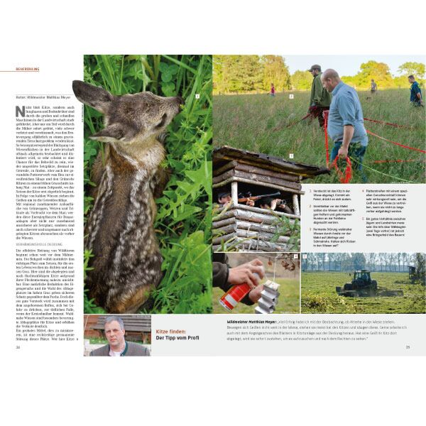 Sonderheft Rehwild mit DVD - Inhalt