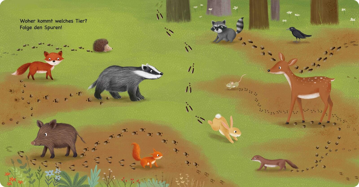 Wimmelbuch fuer Kinder mit Waldtieren