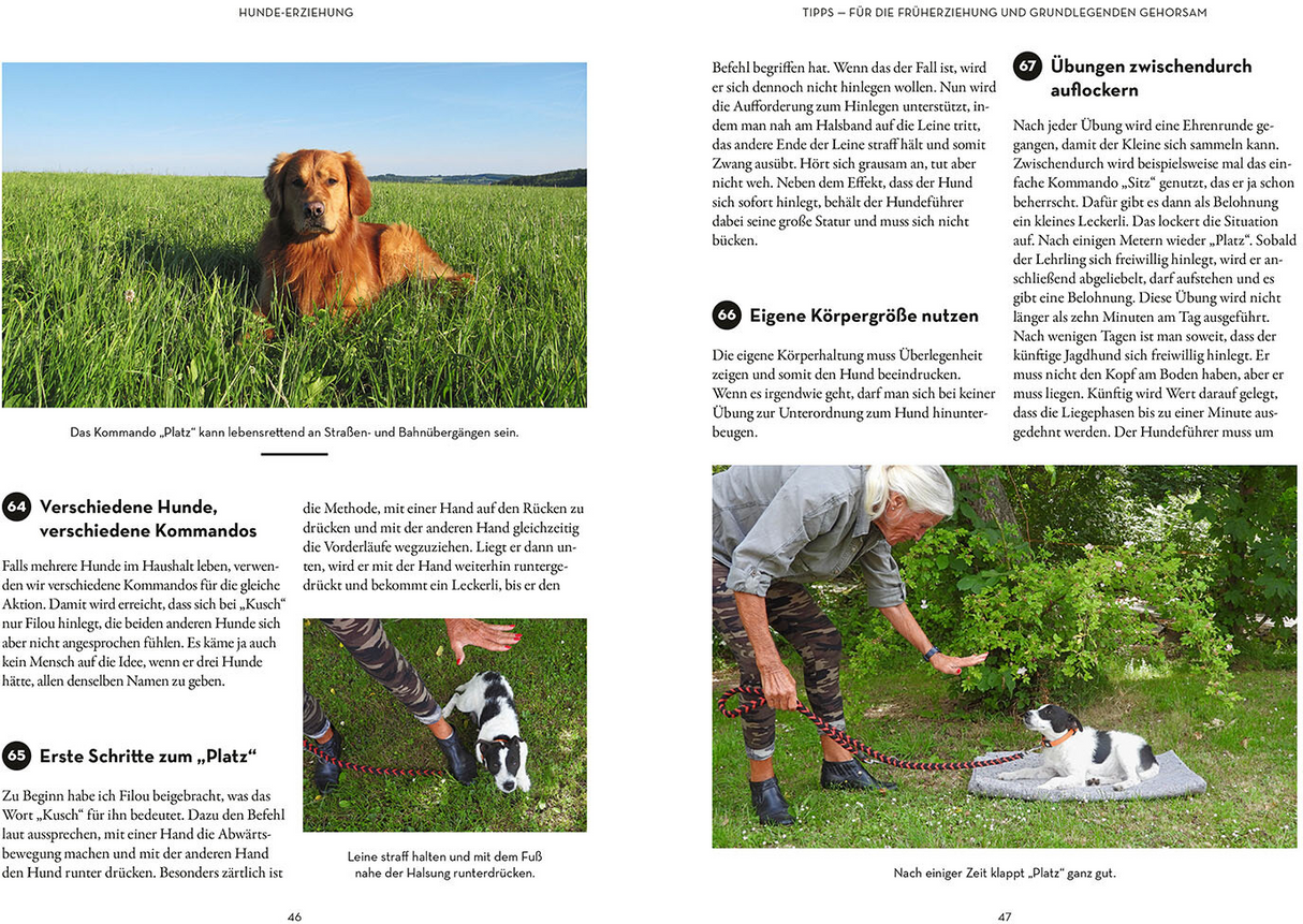 Tipps und Tricks fuer Hundefuehrer Leseprobe