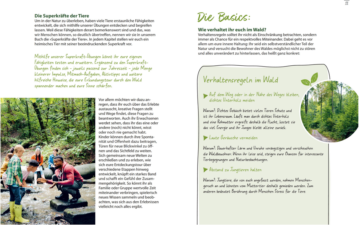 Waldabenteuer für die ganze Familie - Die Basics