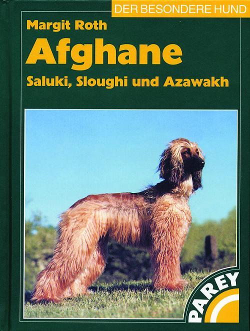 Afghane - Saluki, Sloughi und Azawakh