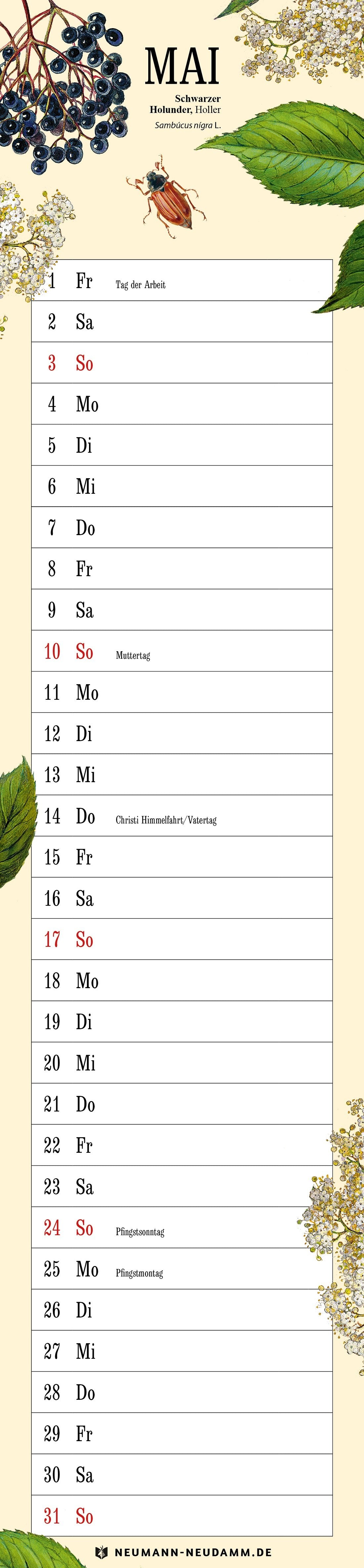 Gottfried Amann Kalender 2026