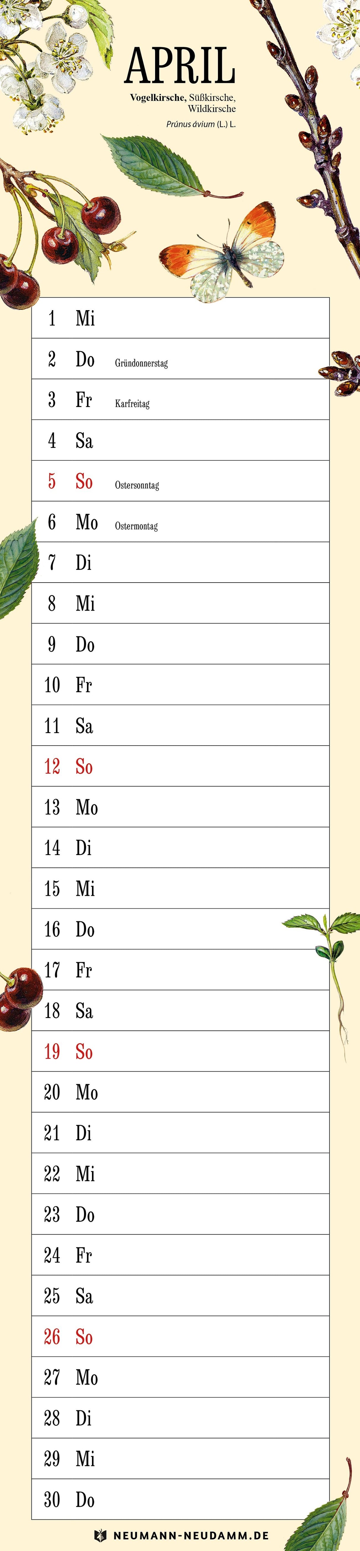 Amann Naturkalender April