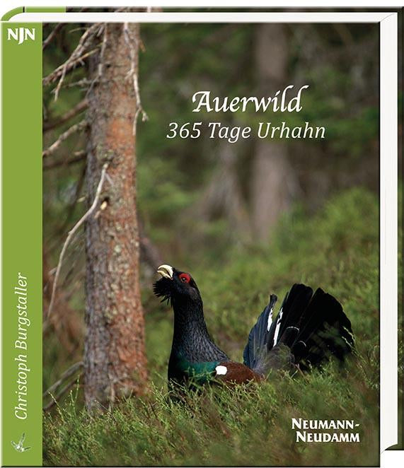 auerwild 265 tage urhahn buch