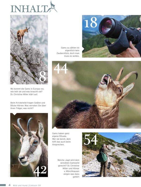 Wild und Hund Auf die Gams