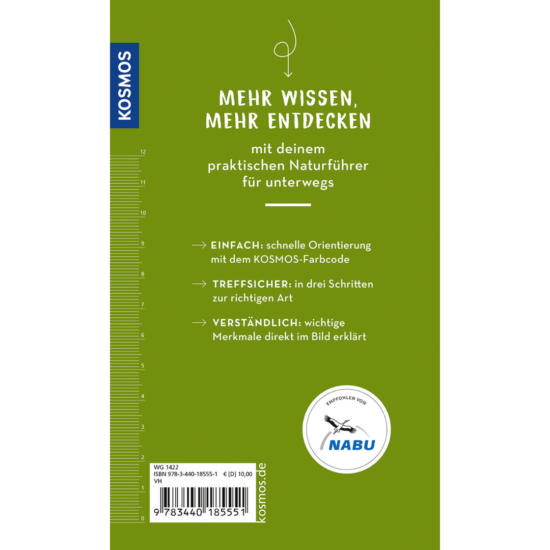 Bäume – Entdecken, staunen, wissen! - Backcover