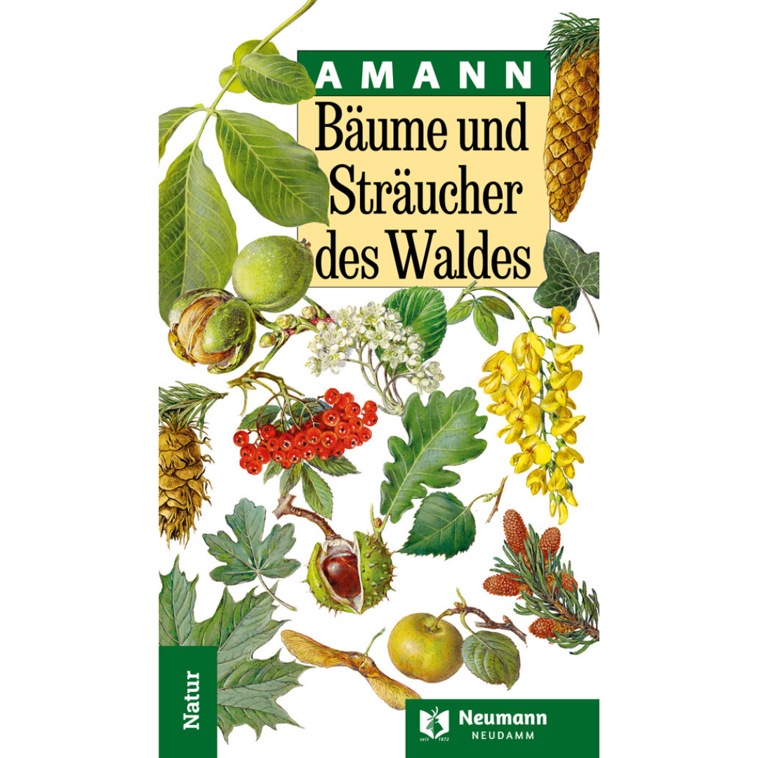Bäume und Sträucher des Waldes