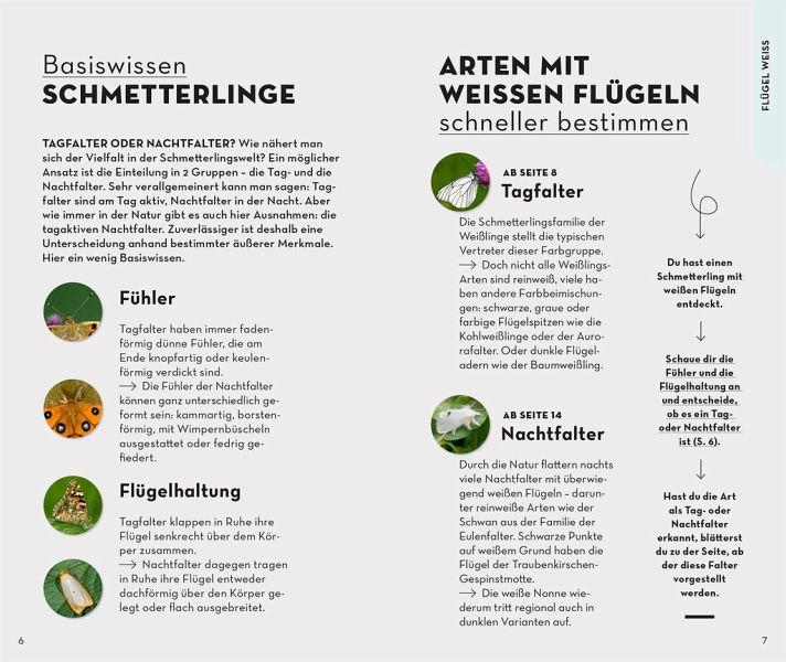 Basic Schmetterlinge Inhaltsuebersicht