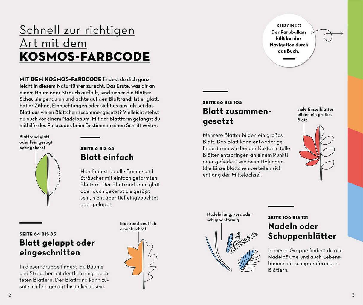 BASIC Bäume- Kosmos Farbcode