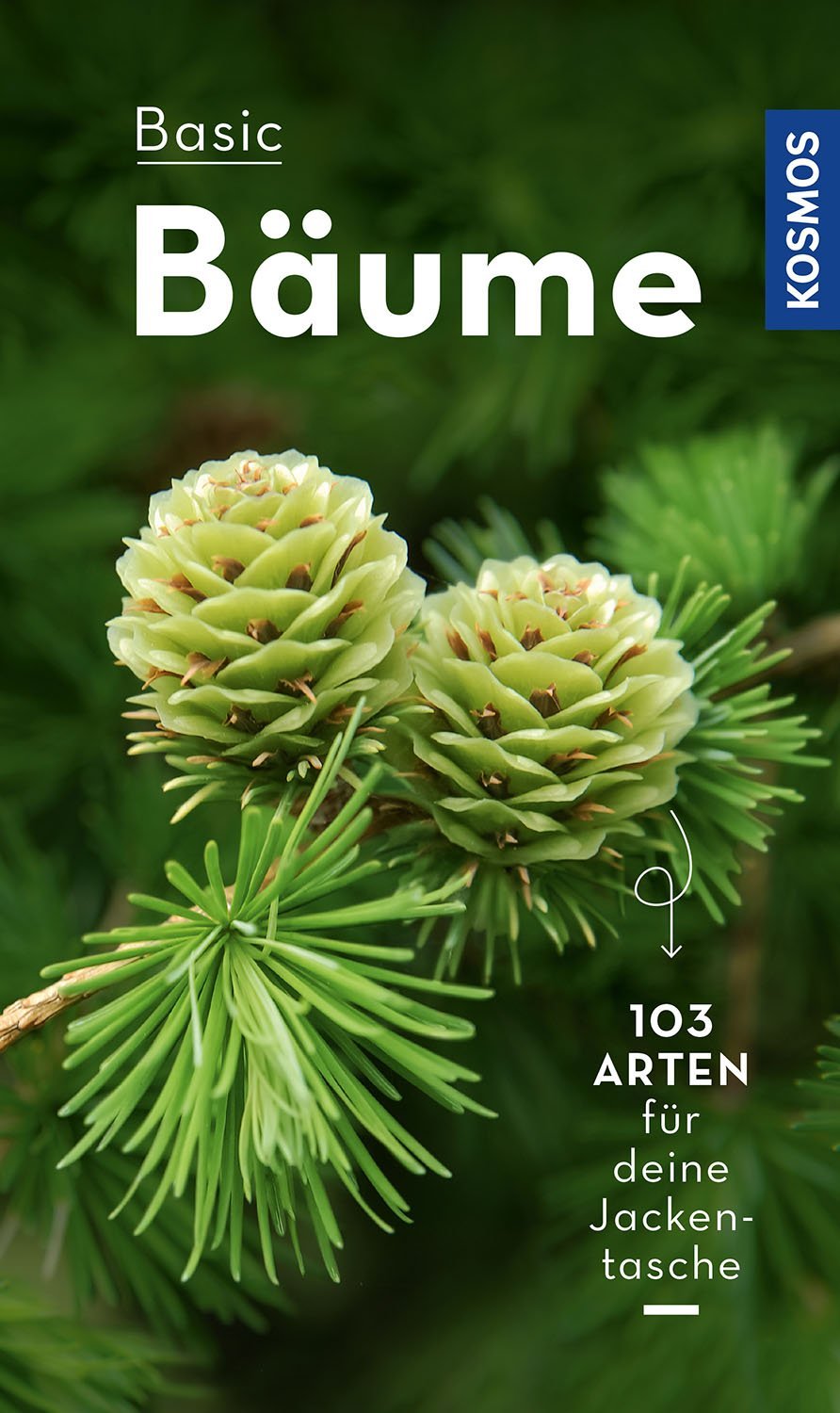 Basic Baeume Kosmos Buch