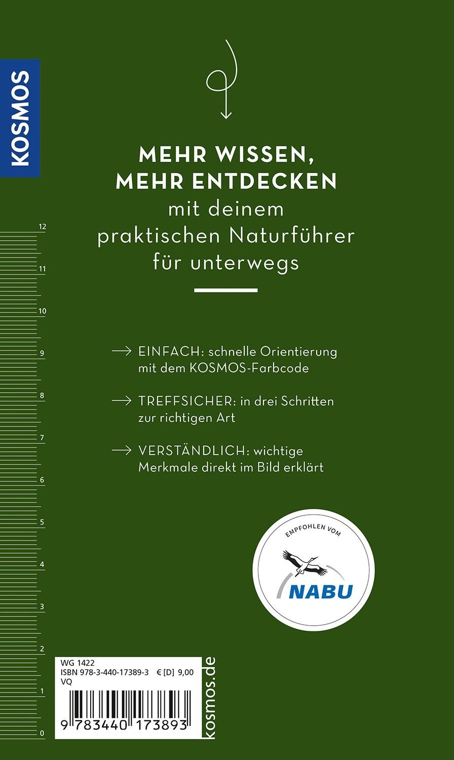 Basic Blumem Rueckseite Kosmos