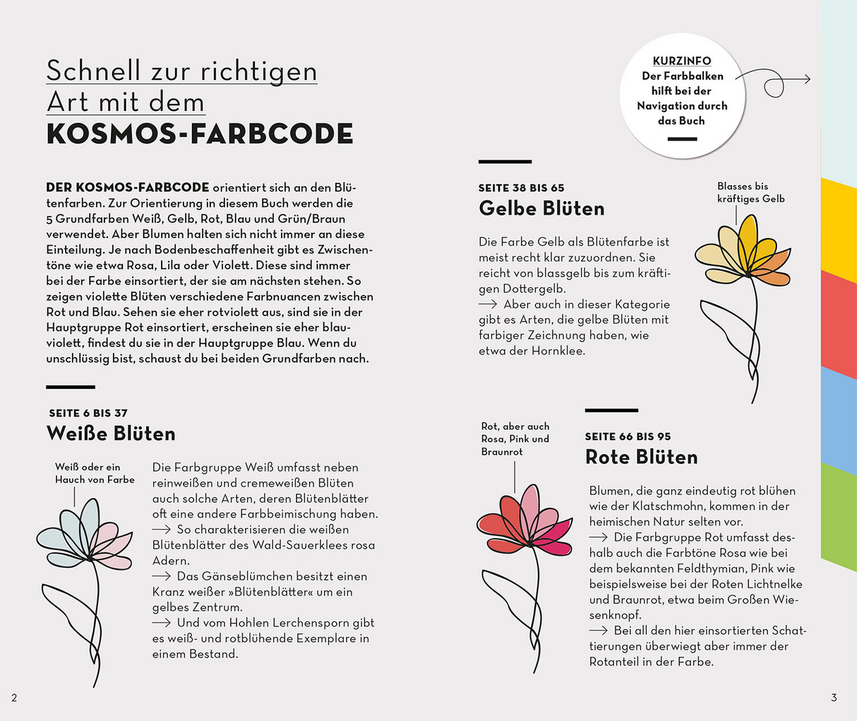 BASIC Blumen - Kosmos Farbcode