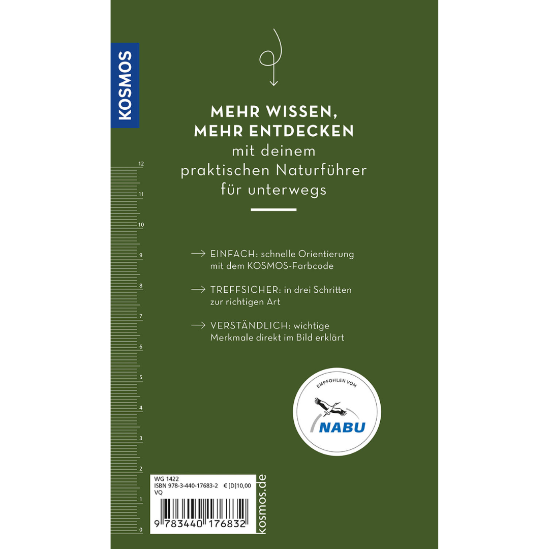 Basic Heilpflanzen - Backcover