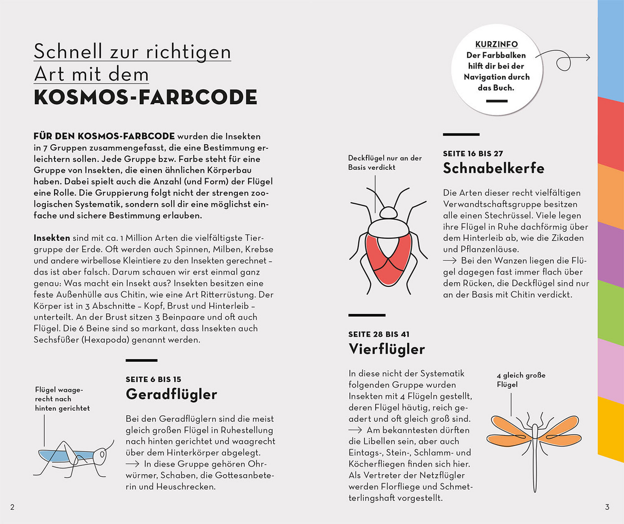 BASIC Insekten - Kosmos Farbcode
