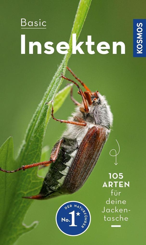 Basic insekten Kosmos Buch