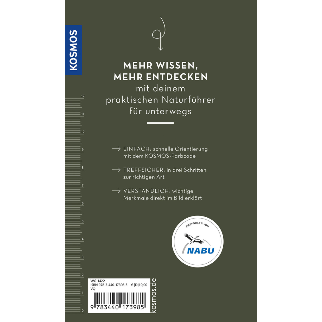 Basic Schmetterlinge - Backcover