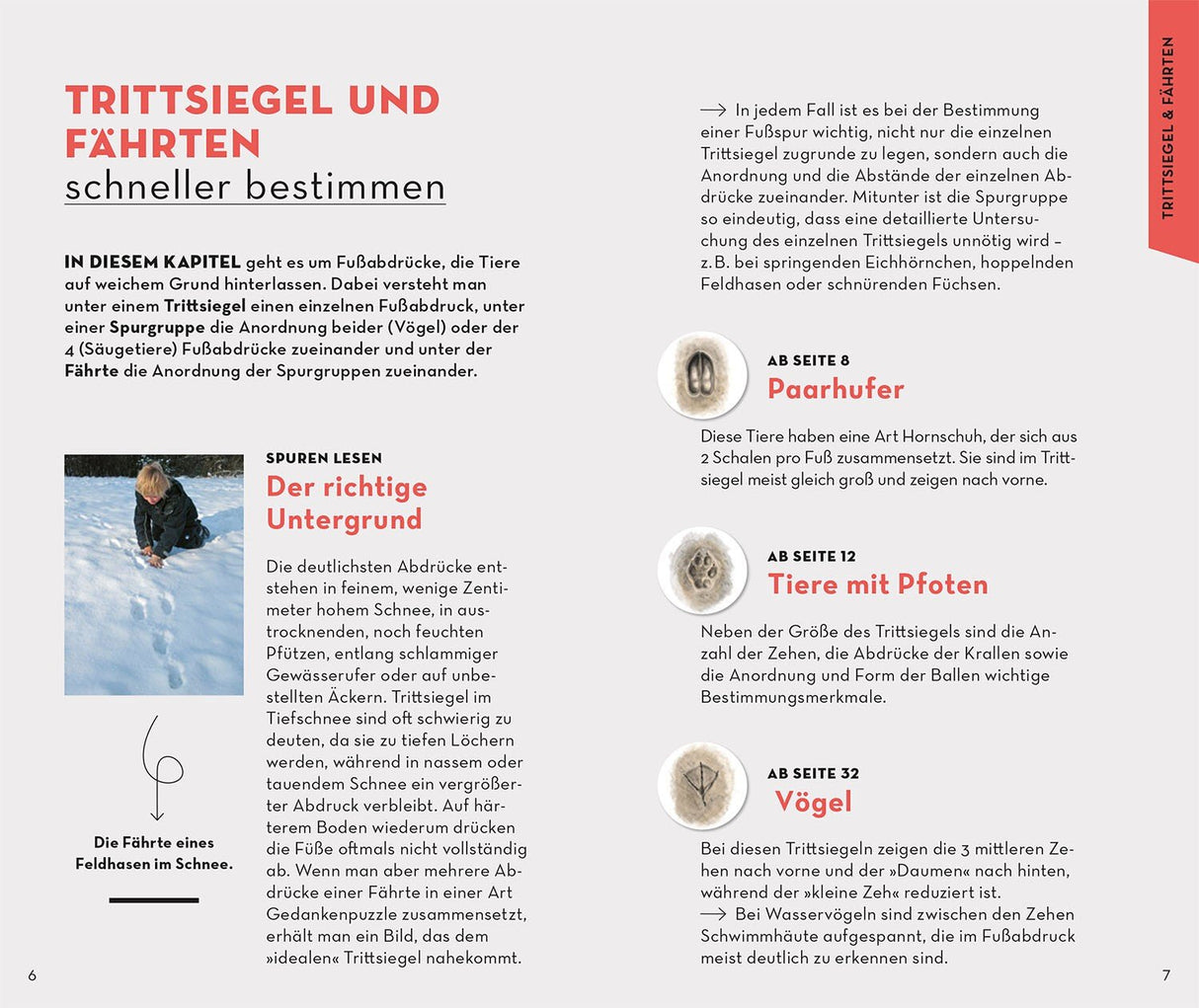 Basic Tierspuren Innenansicht