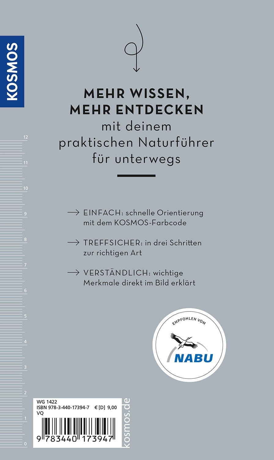 Basic Tierspuren Rueckansicht