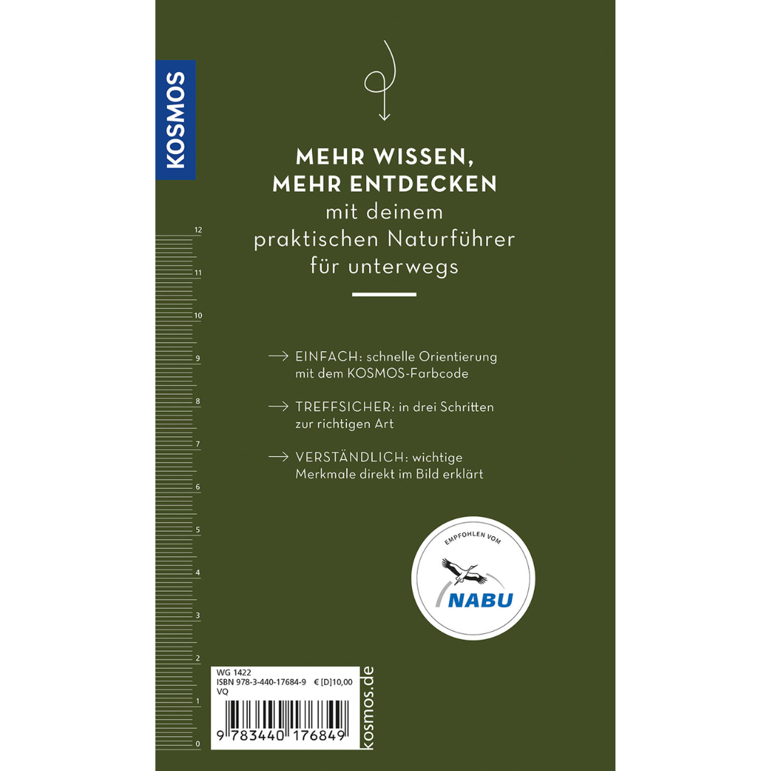 Basic Wald - Backcover
