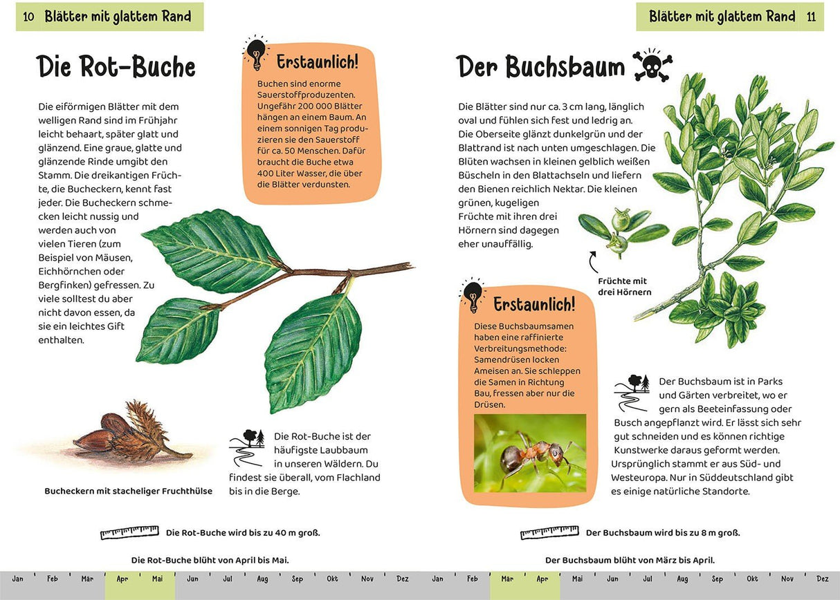 Kinder Naturfueher Baeume