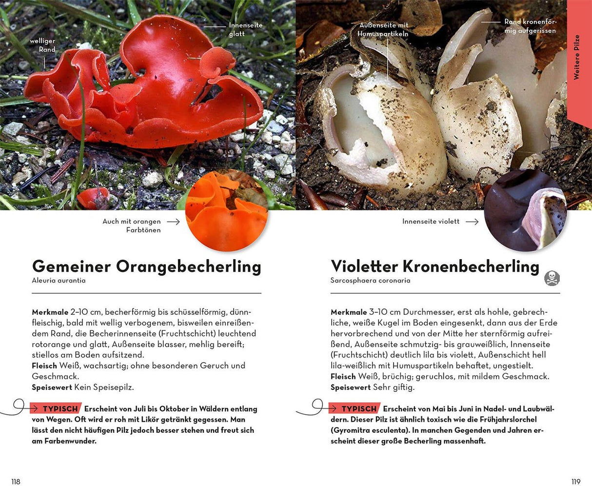 Becherling bestimmen