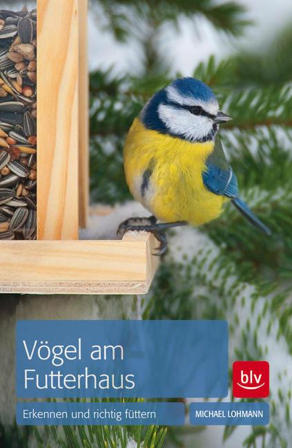 Vögel am Futterhaus, Lohmann