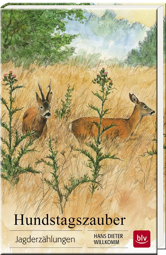 Hundstagszauber, Willkomm