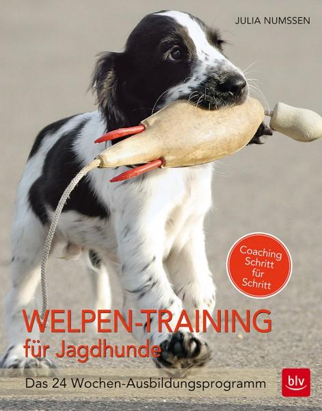 Welpen-Training für Jagdhunde, Numßen