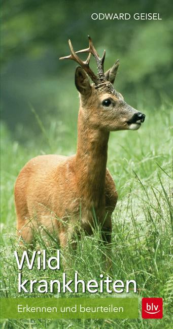 Wildkrankheiten, Geisel