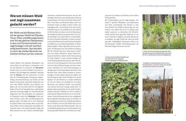 Waldbau für Jäger
