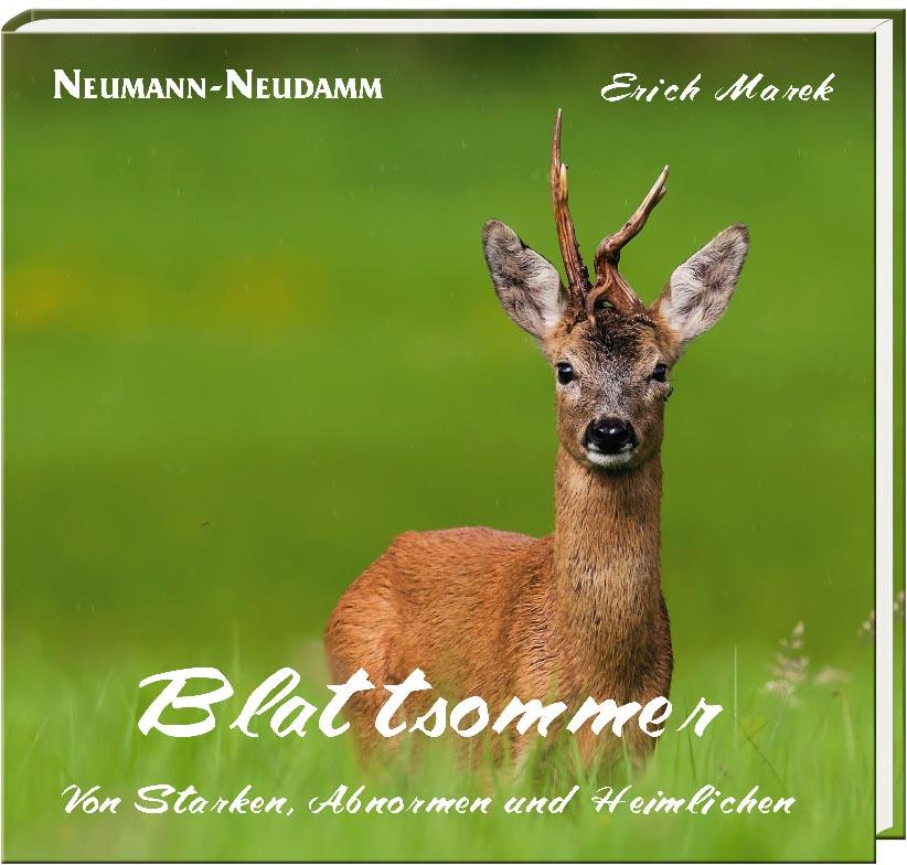 blattsommer blattjagd buch