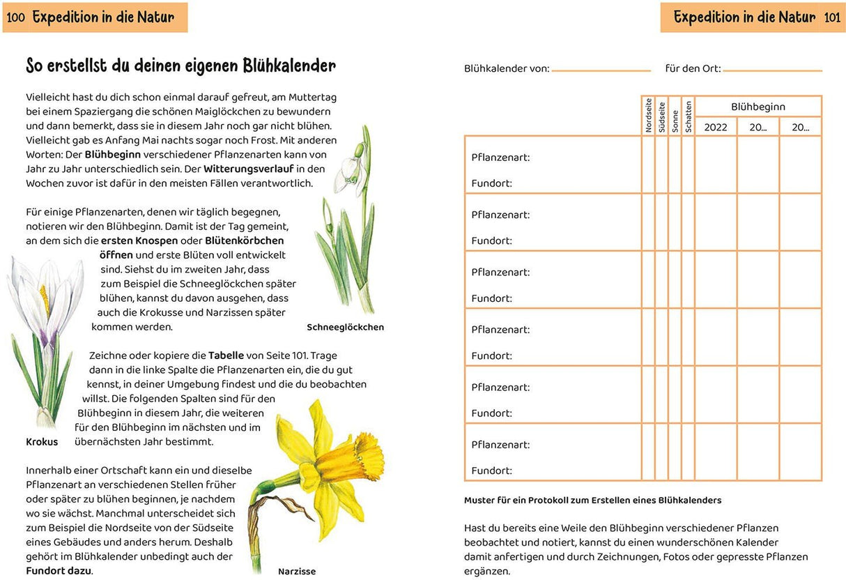 bluehkalender erstellen