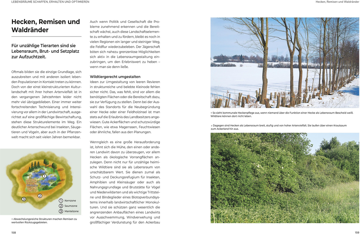 Das große BLV Handbuch Niederwild - Hecken, Remisen und Waldränder