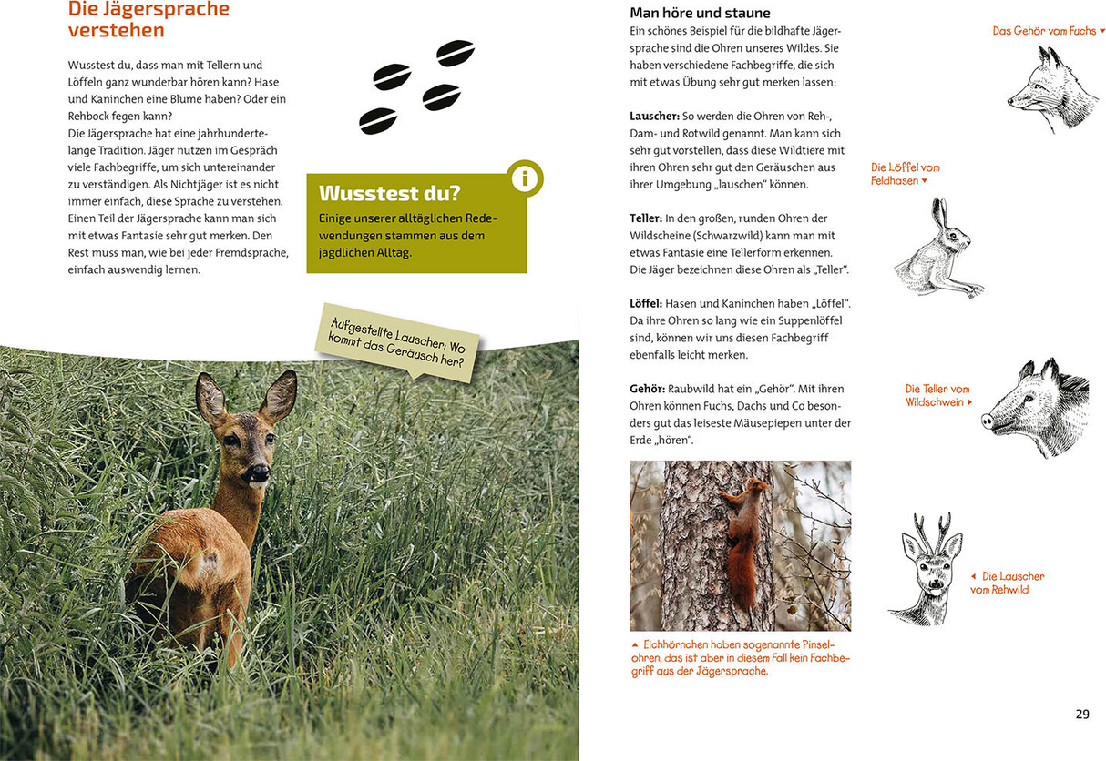 Das Jagdbuch für Kids - Jägersprache