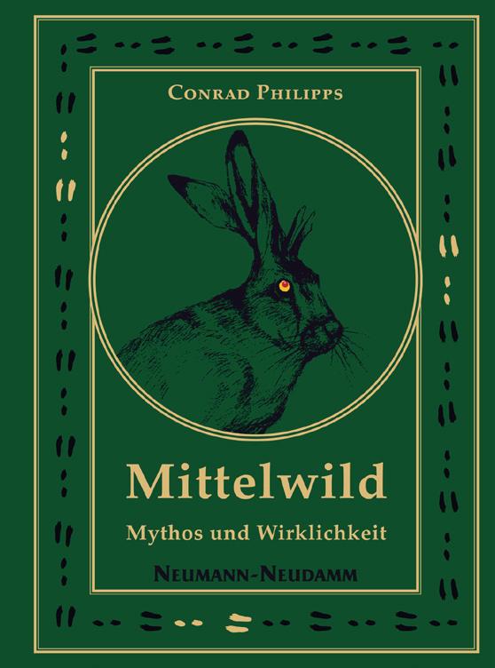 Das Mittelwild Maengelexemplar