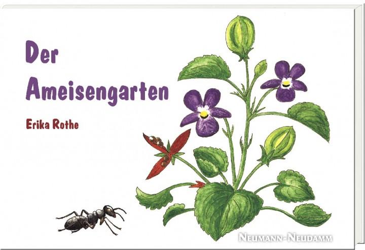 der ameisengarten kinder naturbuch