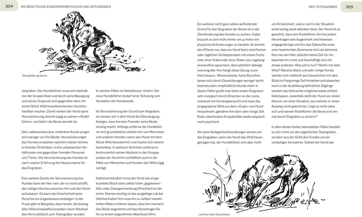 Der Jagdgebrauchshund - Der Totengräber