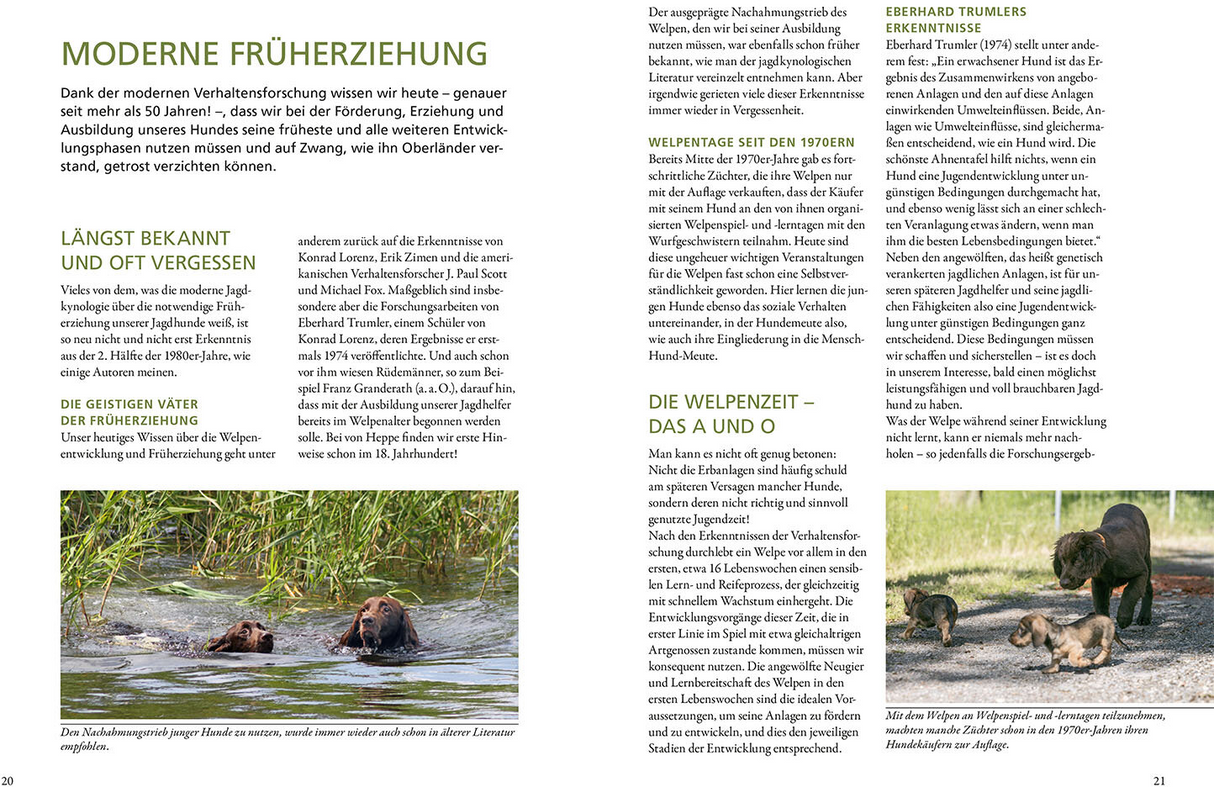 Der Jagdhundwelpe - Moderne Früherziehung
