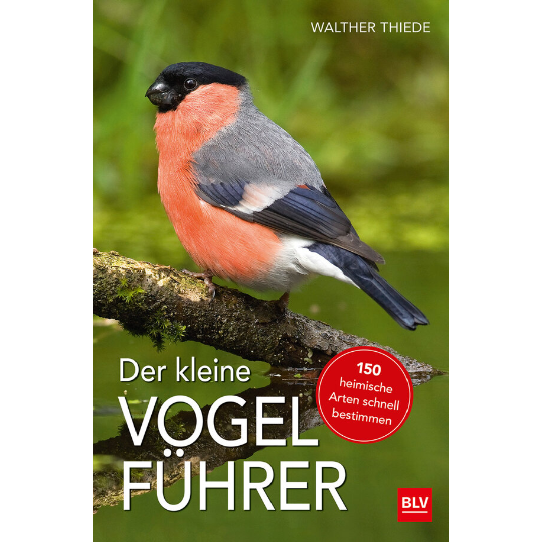 Der kleine Vogelführer von Walther Thiede