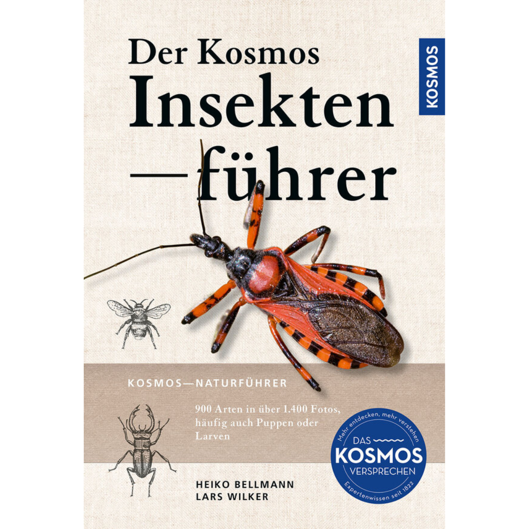 Der KOSMOS Insektenführer