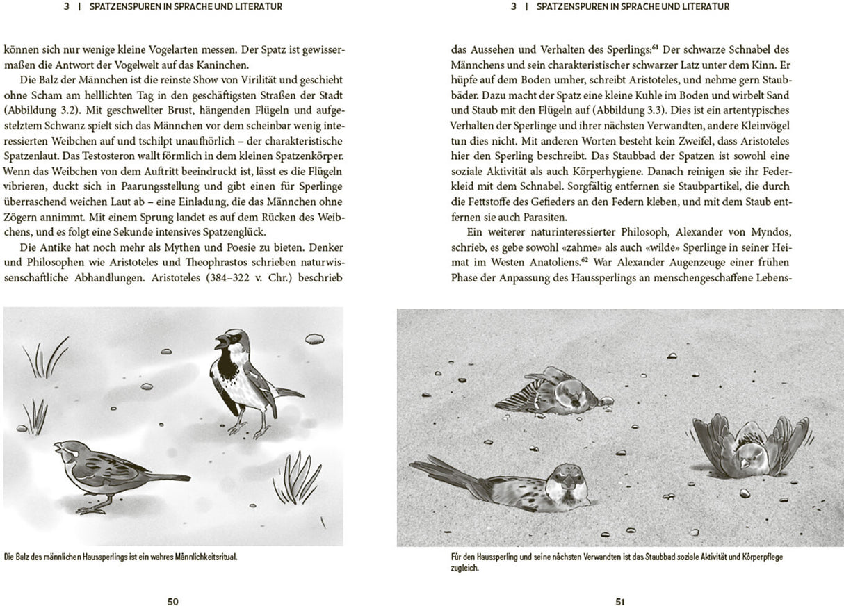 Der Spatz – Ein kleiner Vogel mit großer Geschichte - Innenansicht 3